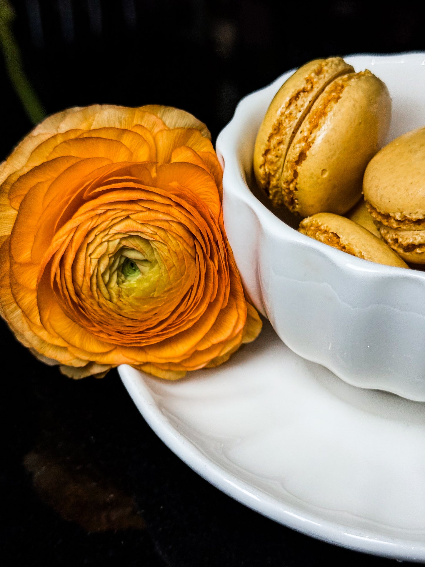 Caramel Macaron – Flower Lab NYC