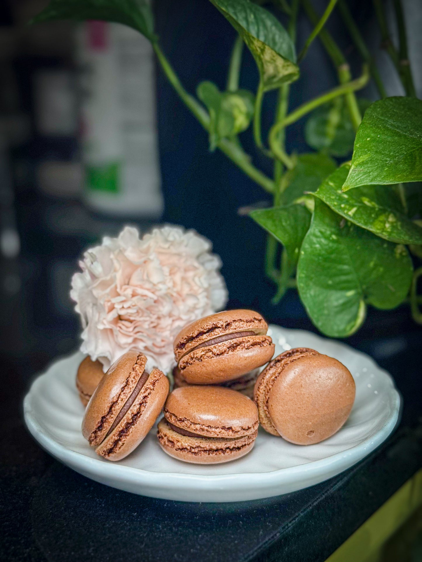 Chocolate Macaron – Flower Lab NYC