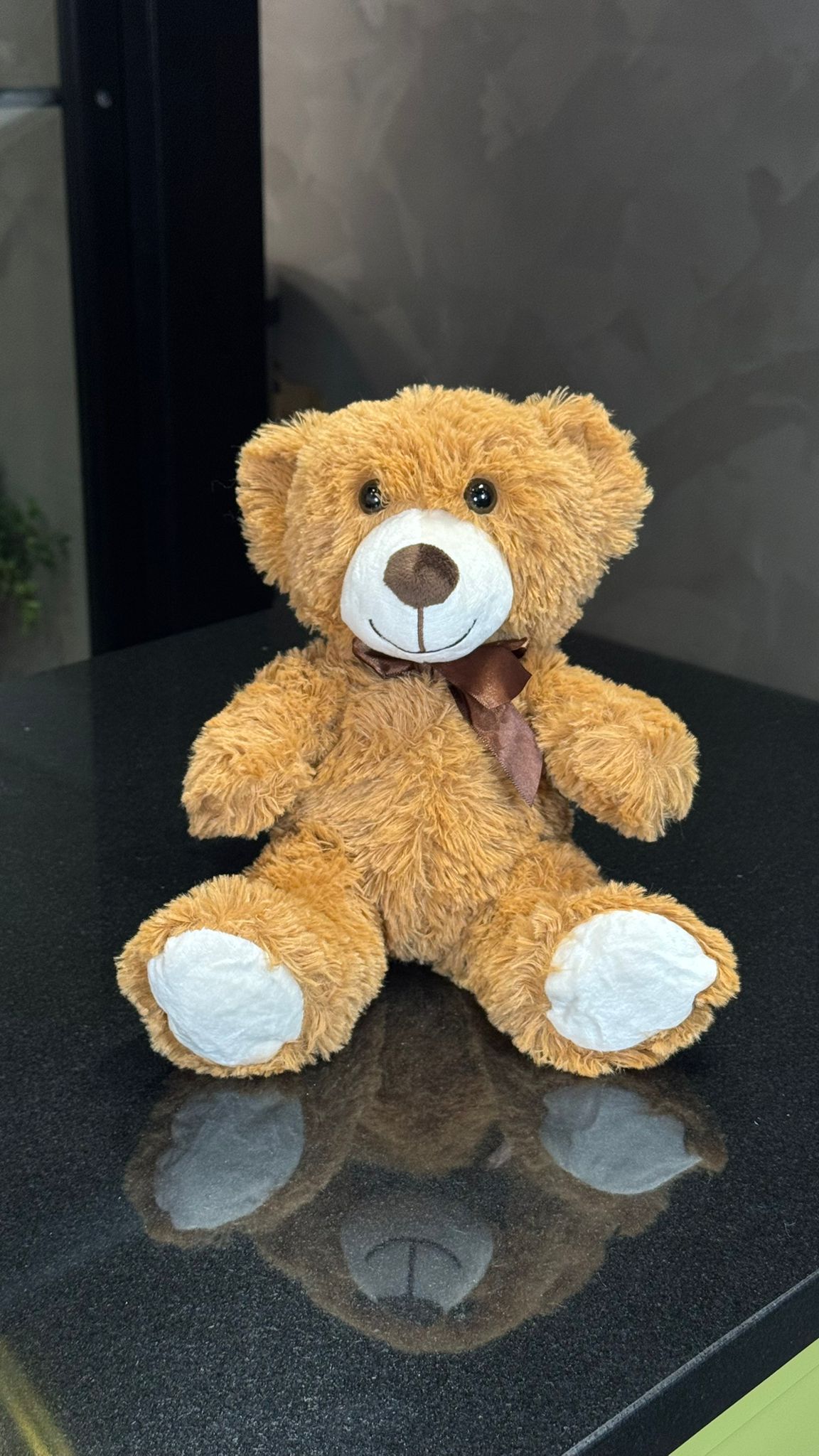 Plush Teddy Bear (14")