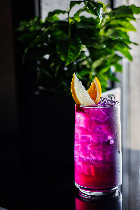 Ancha Iced Tea – Herbal Butterfly Pea Blossom
