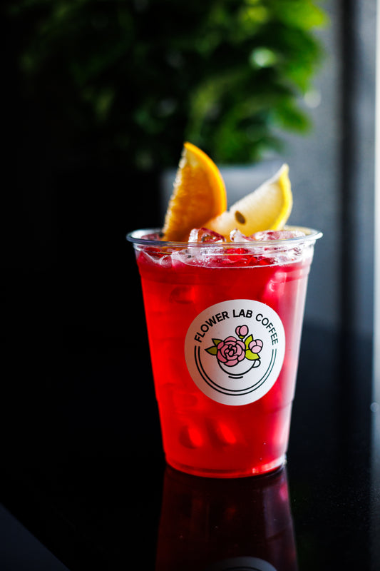 Hibiscus Iced Tea – Tangy & Floral Refreshment