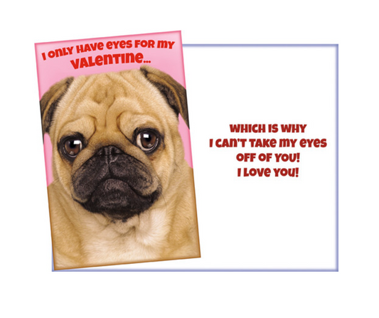 Funny Pug Valentine’s Day Card – “I Can’t Take My Eyes Off You”